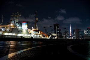 ブラックのトイプードル銀座リリーとドナ